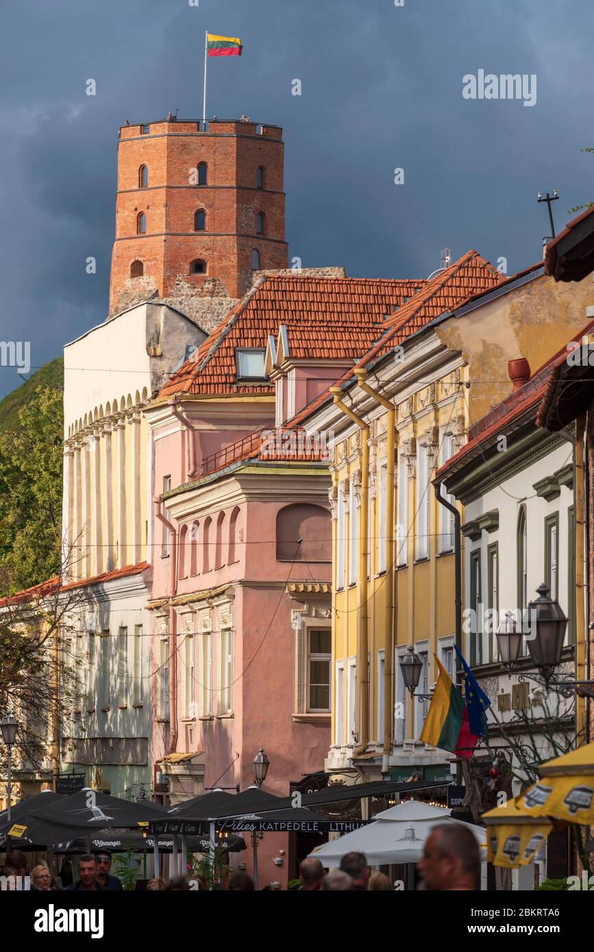 Lithuania (Baltic States), Vilnius, historic centre, listed as World Heritage by UNESCO, the Gediminas tower Stock Photo