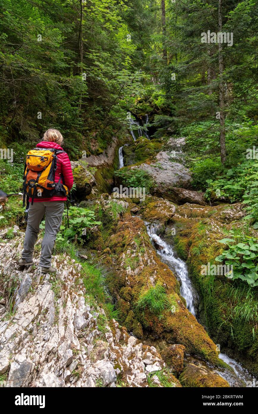 France, Haute Savoie, massif du Chablais, val d'Abondance, the path going up into the forest towards Cubour? is bordered by a small stream and small waterfalls Stock Photo