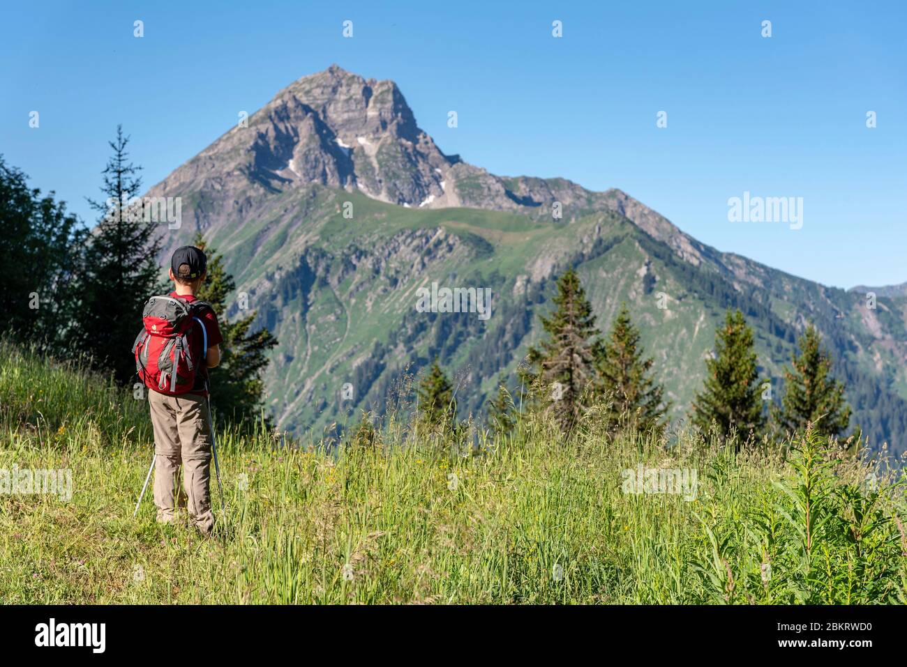 France, Haute Savoie, massif du Chablais, val d'Abondance, child observing Mont de Grange (2432m) Stock Photo