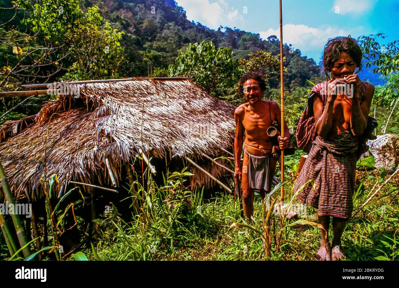 Ancient Indonesian Hunter-Gatherers Used Betel Nuts for Toothaches Ancient Indonesian Hunter-Gatherers Used Betel Nuts for Toothaches