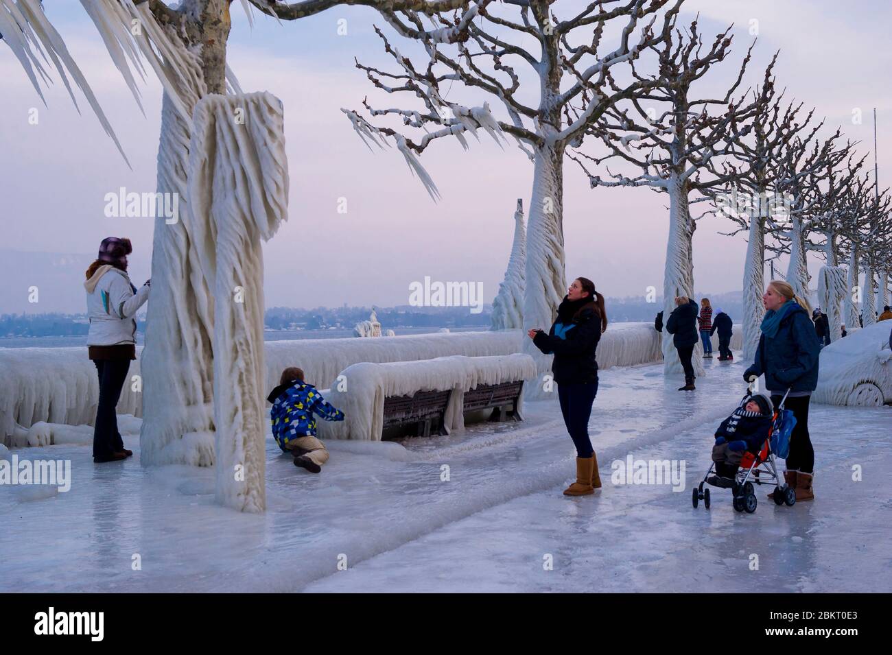 Switzerland, canton of Geneve, Versoix, the edges of Lake Geneva freezing in a very strong and cold wind, trees covered with ice Stock Photo