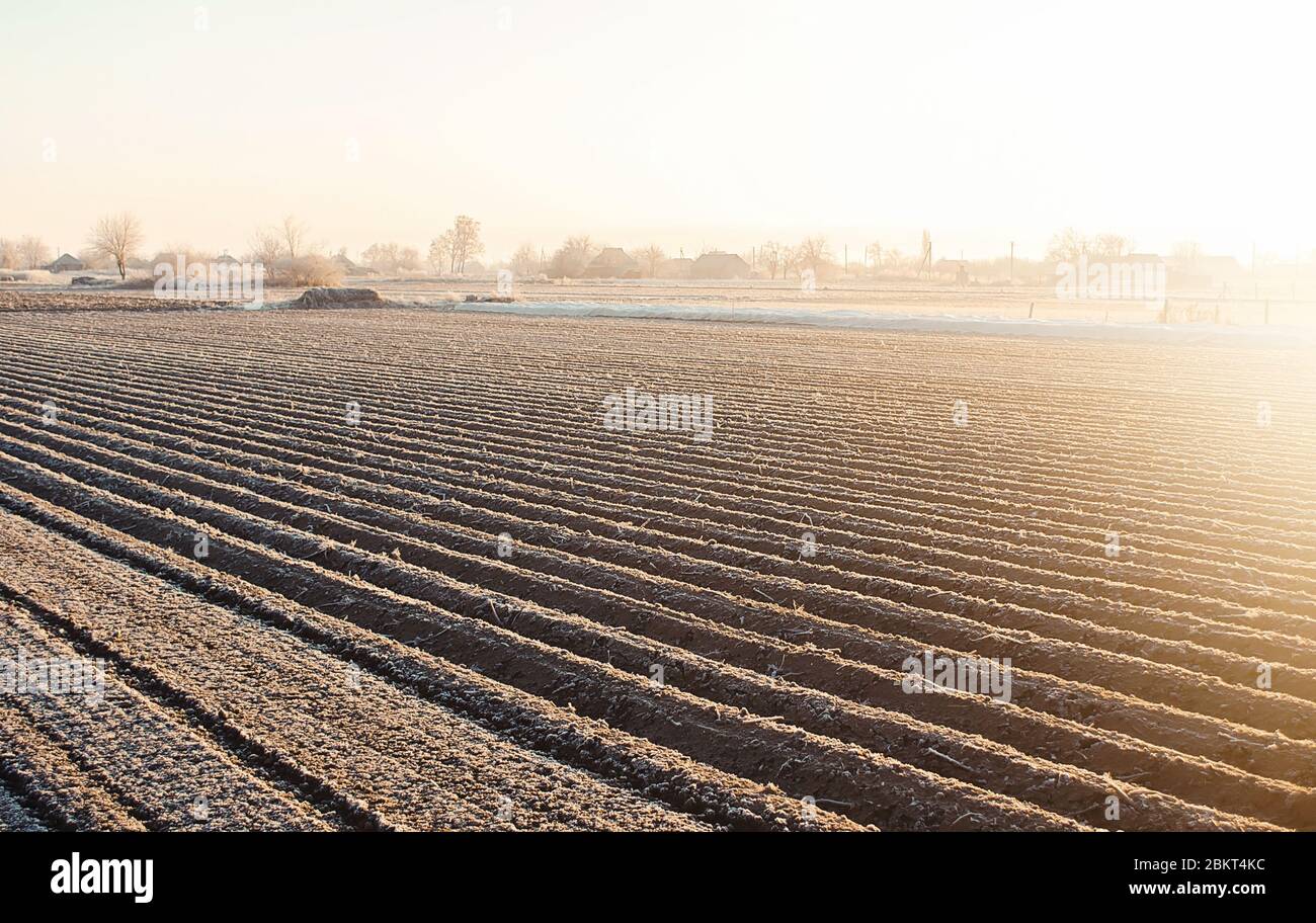 Winter farm field ready for new planting season. Preparatory agricultural work for spring. Choosing right time for sow fields plant seeds, protection Stock Photo