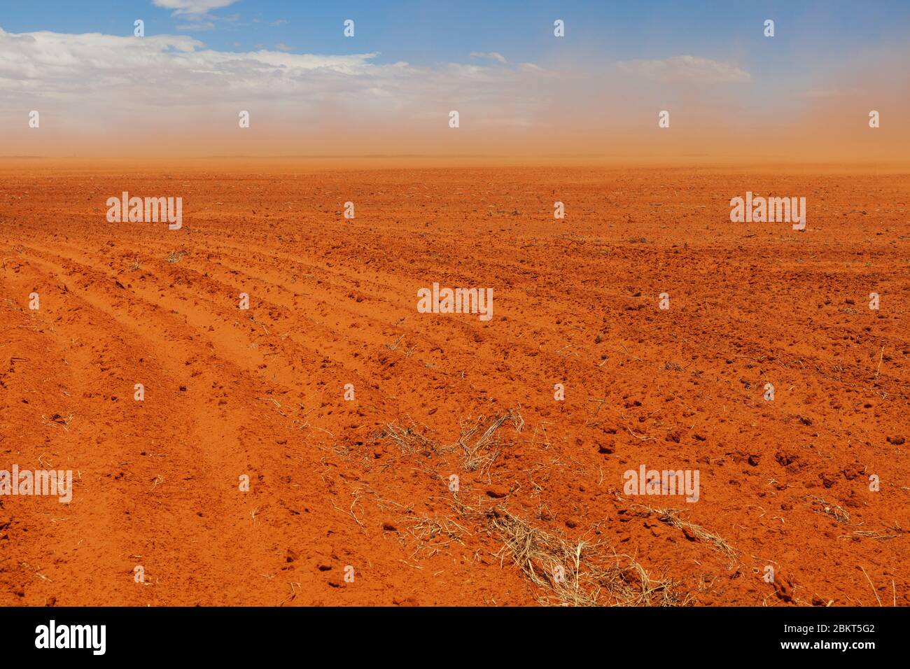 Farmland, Free State South Africa. Orange Dust cloud caused by dry