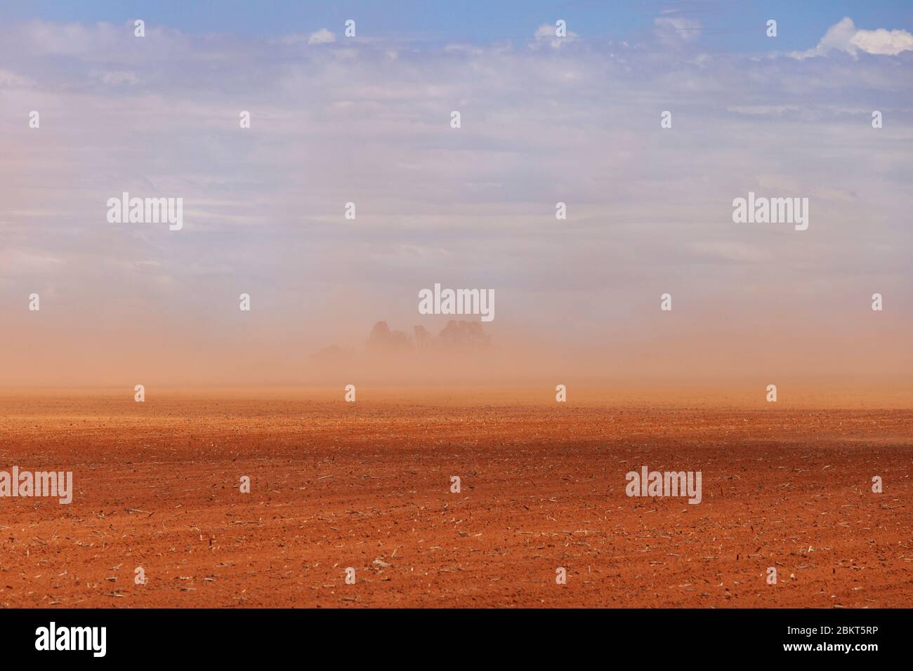 Farmland, Free State South Africa. Orange Dust cloud caused by dry