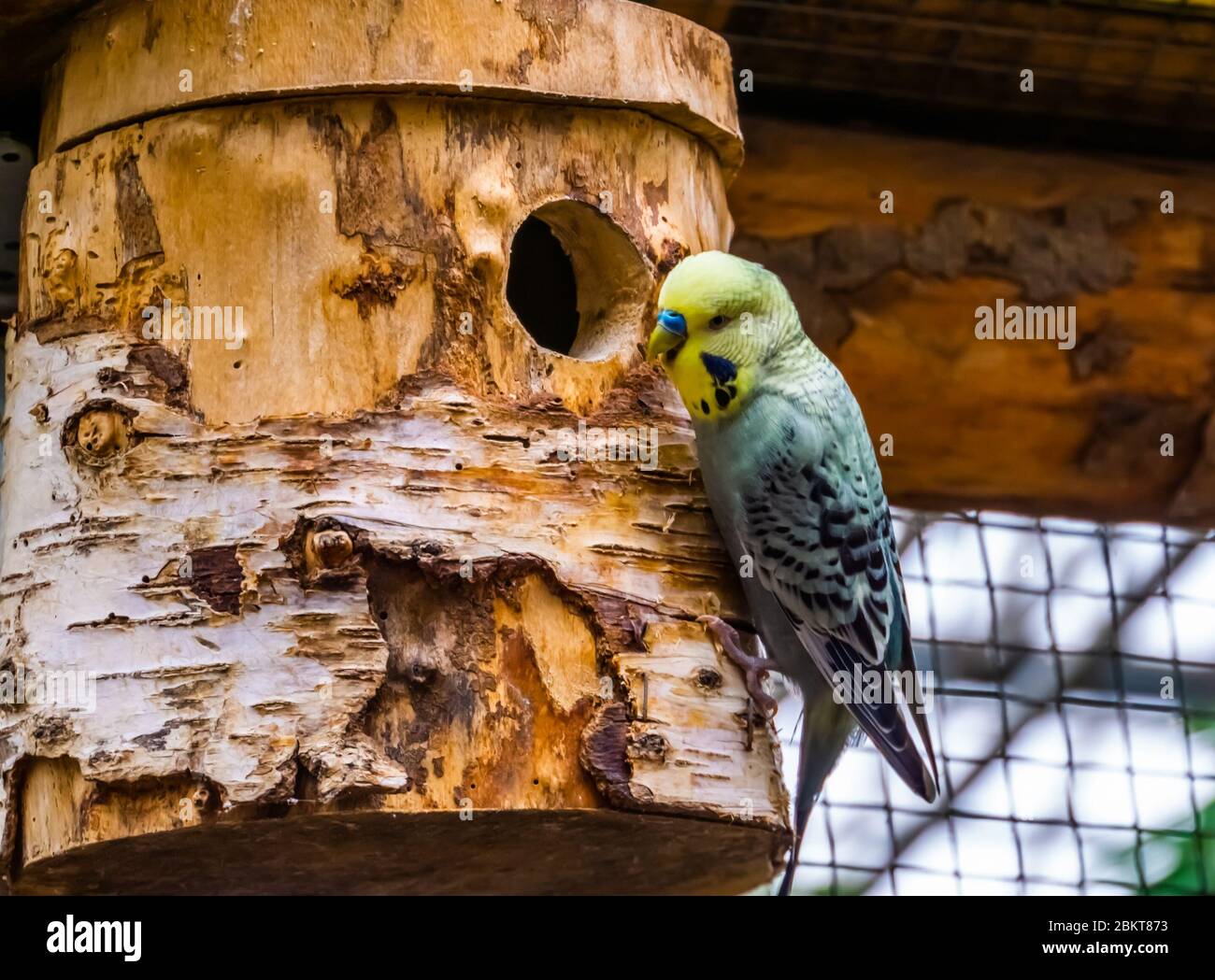 Gallery image with a fresh perspective