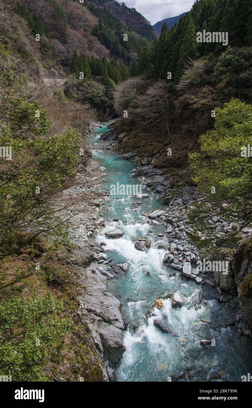 Iyakei Gorge in the Iya Valley, Tokushima, Japan Stock Photo