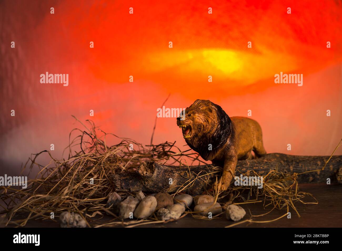 African lion silhouette hi-res stock photography and images - Alamy
