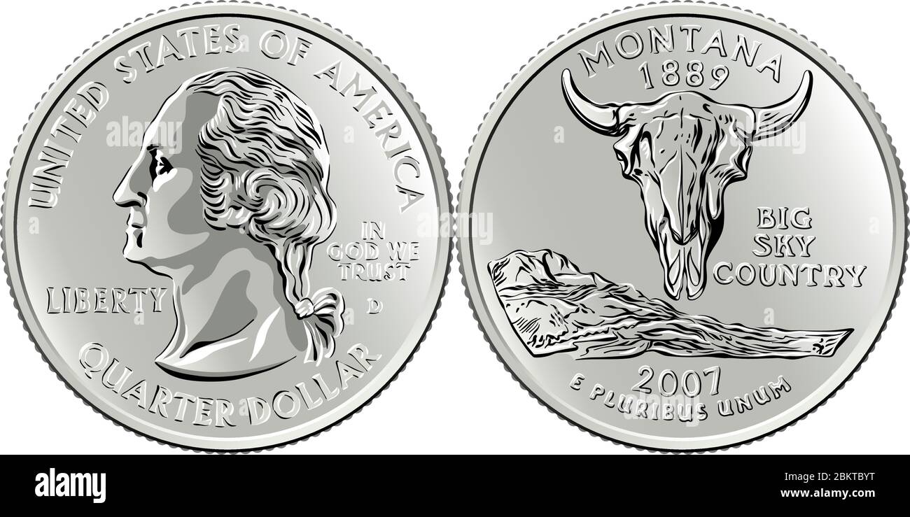 American money, USA Washington quarter dollar or 25-cent silver coin, first US president George Washington on obverse, American bison skull on reverse Stock Vector