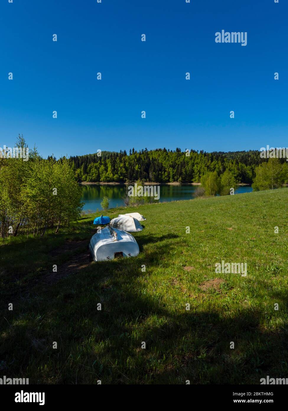 Boats ashore inverted Spring season in Green forest Lokve lake Croatia Europe Stock Photo