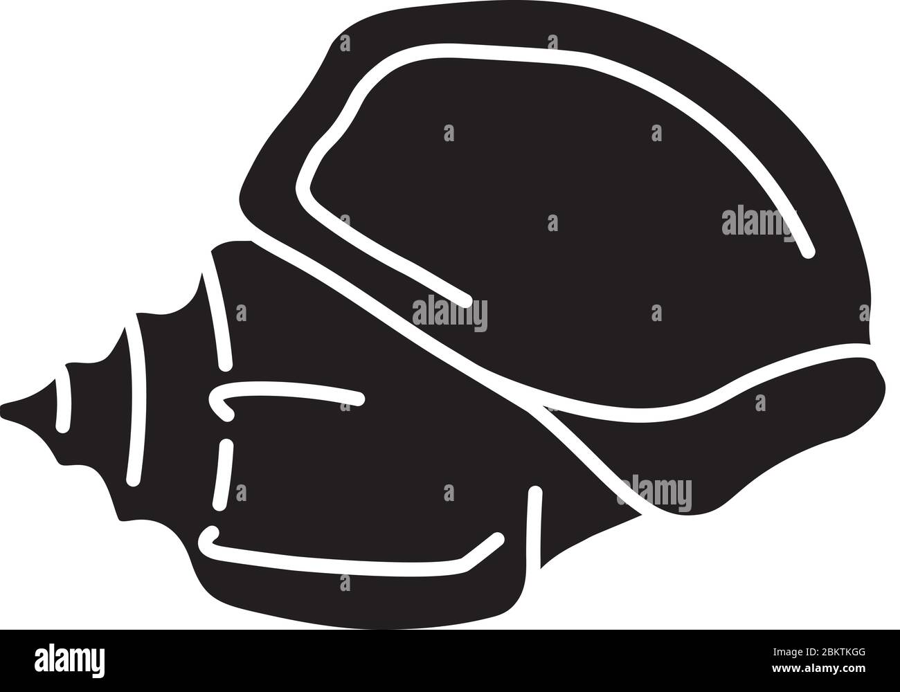 Trumpet conchology Stock Vector Images - Alamy