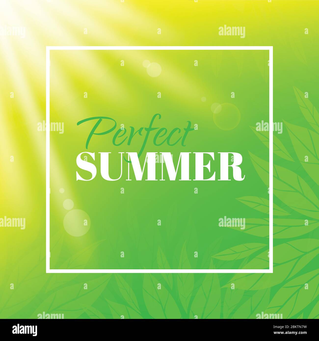 Perfect summer. Banner with typographic design Stock Vector Image & Art