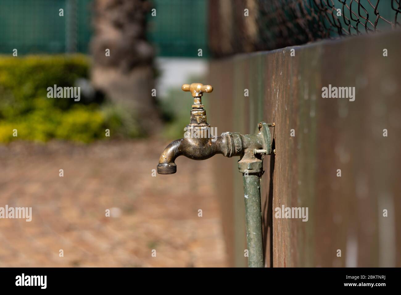 Old closed water tap attached to an outside wall in Pretoria Stock Photo