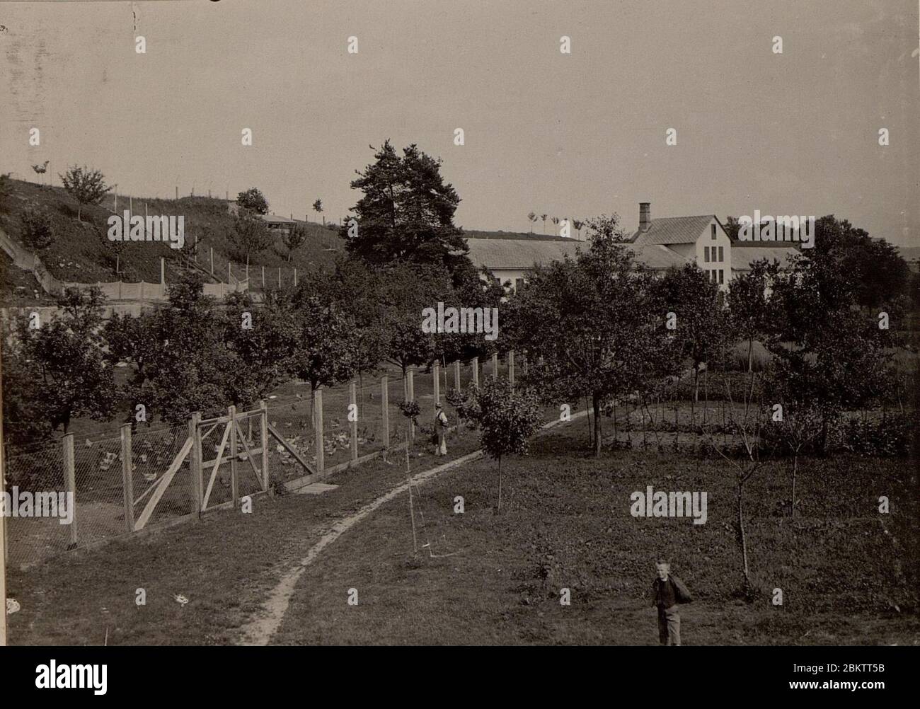Hühnerhof LIND bei Villach. Stall-, Wirtschaftsgebäude und Auslaufgarten. Aufgenommen am 25. Juni 1916. Stock Photo