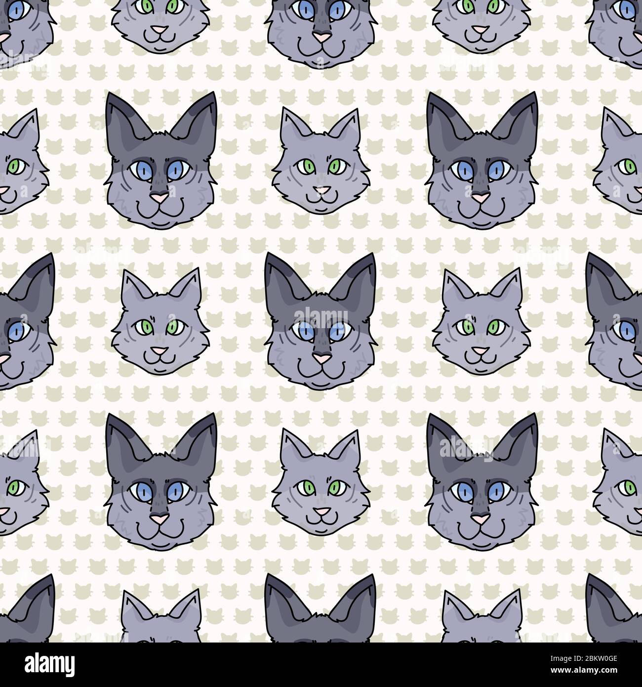 Domestic munchkin cat 2025
