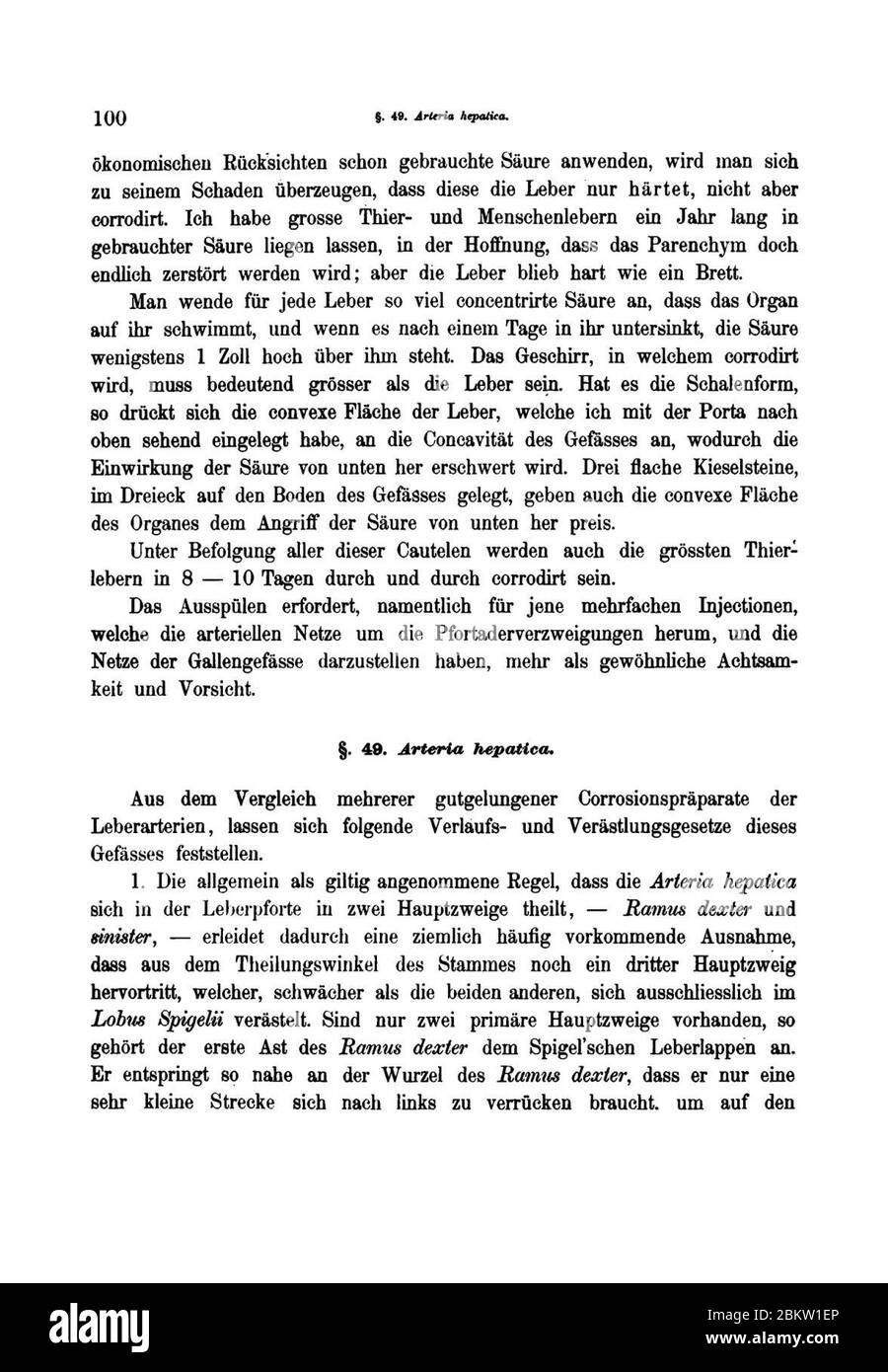 hyrtl-corrosions-anatomie-100-stock-photo-alamy