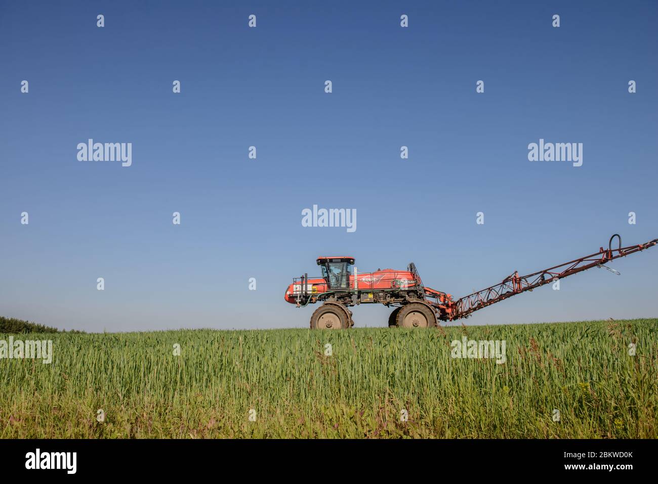 Agricultural machinery. A self-propelled sprayer works in a field under a blue sky. Russia. Tatarstan. July 3, 2019. Self-propelled sprayer. Stock Photo