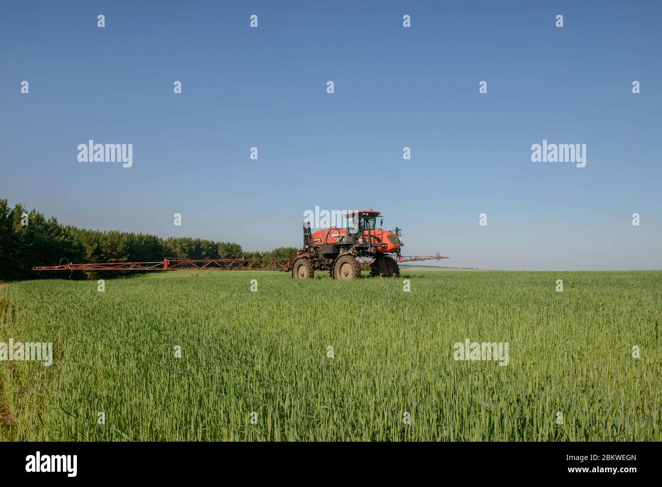 Agricultural machinery. A self-propelled sprayer works in a field under a blue sky. Russia. Tatarstan. July 3, 2019. Self-propelled sprayer. Stock Photo
