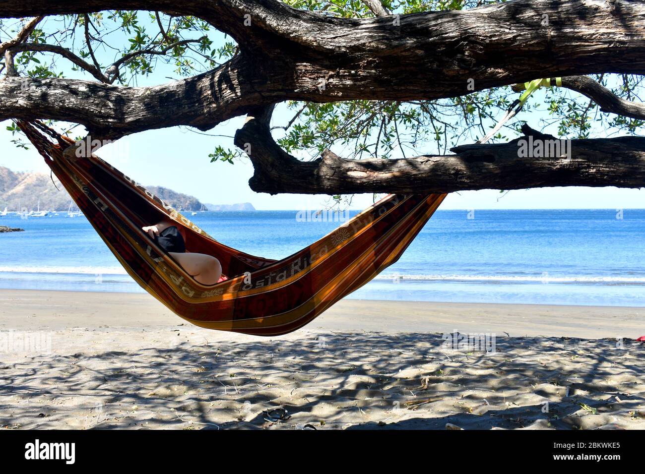 El sable hi-res stock photography and images - Alamy