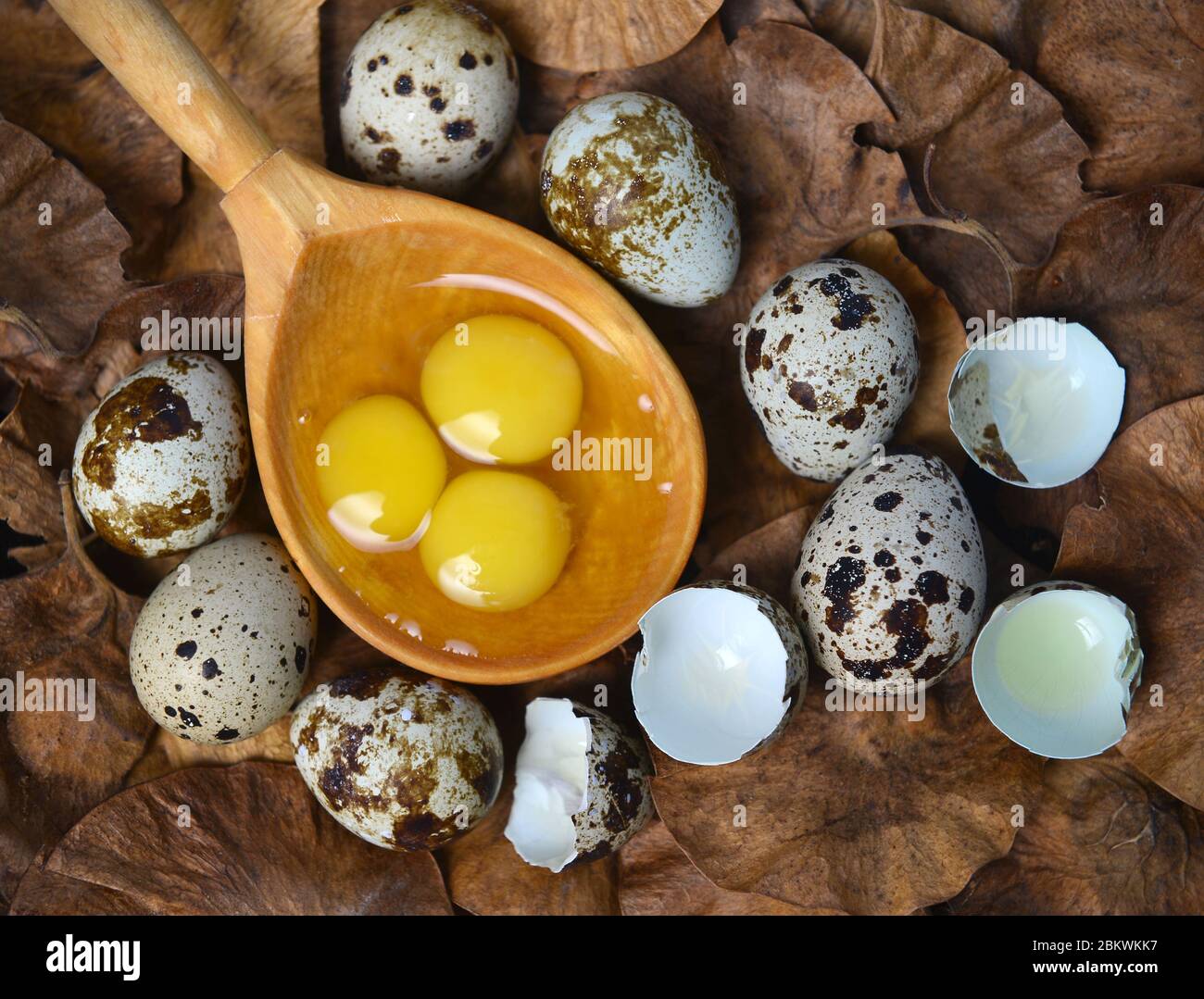 Quail eggs easter. Quail eggs and yolk in on a background of a wooden surface, selective focus. Top view. EASTER. Quail egg Stock Photo