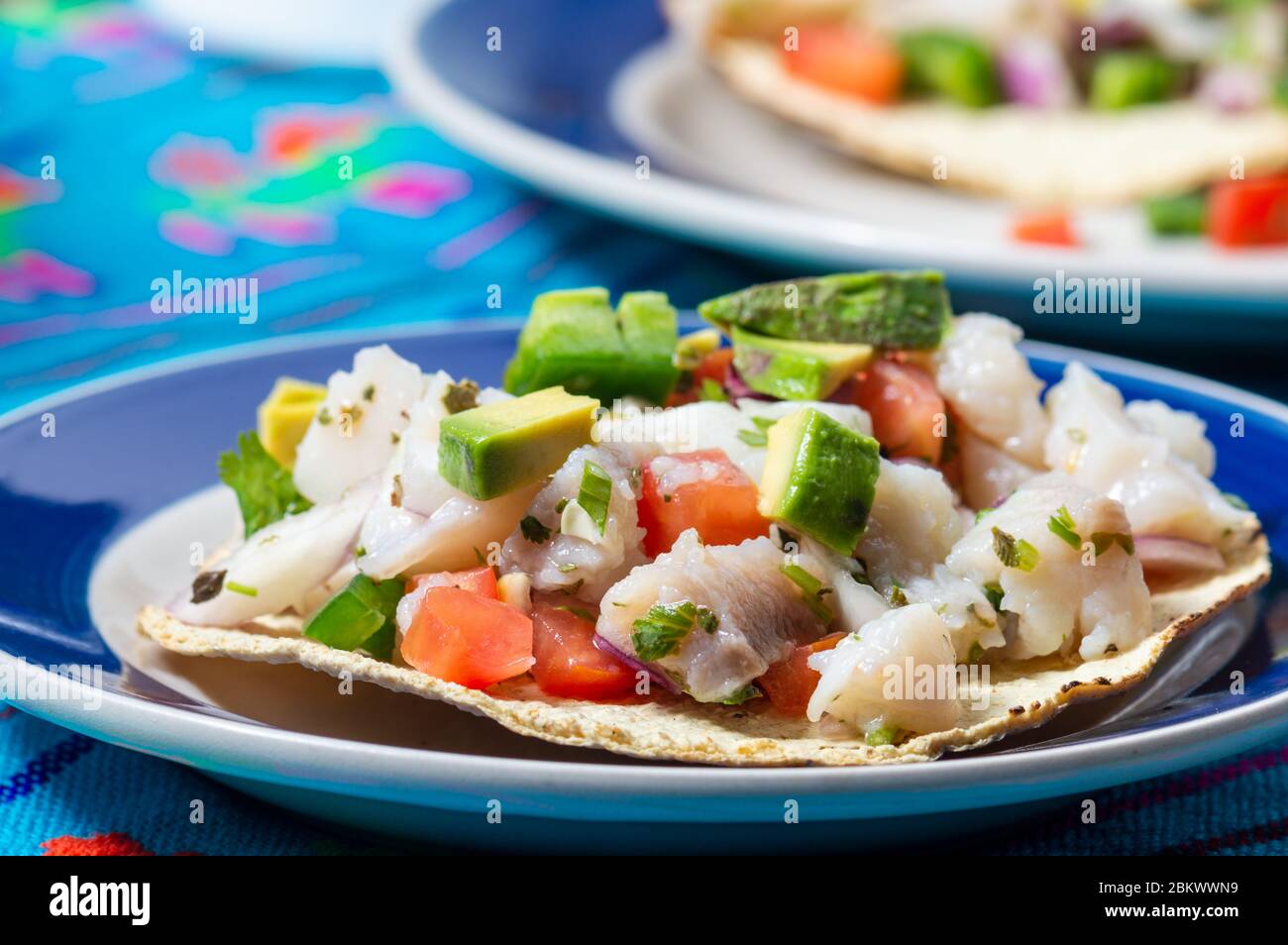 Mexican fish ceviche with crispy fried tortillas Stock Photo Alamy