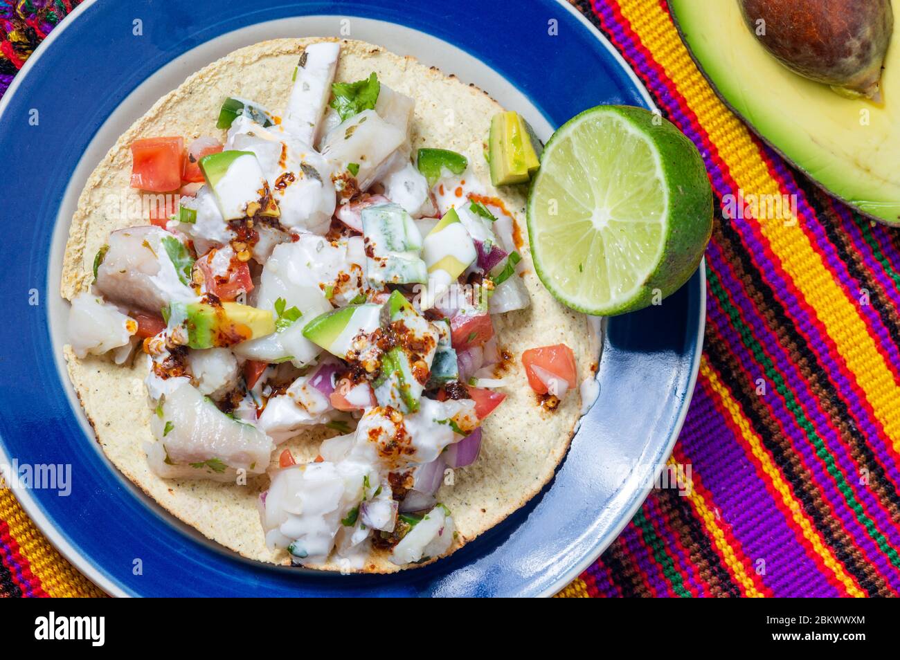 Mexican fish ceviche with crispy fried tortillas Stock Photo