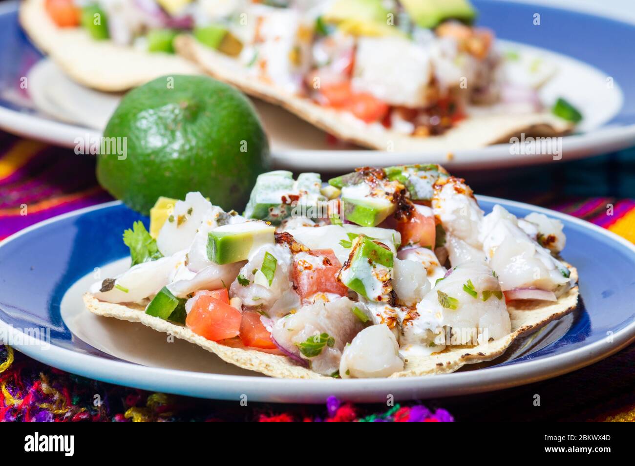 Mexican fish ceviche with crispy fried tortillas Stock Photo