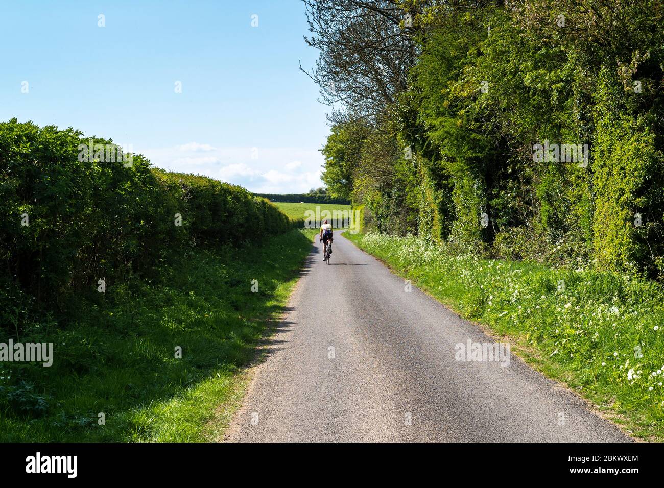 Cyclist taking daily exercise alone during Lockdown to protect the National Health Service - NHS - being overwhelmed by Coronavirus COVID-19 virus pan Stock Photo