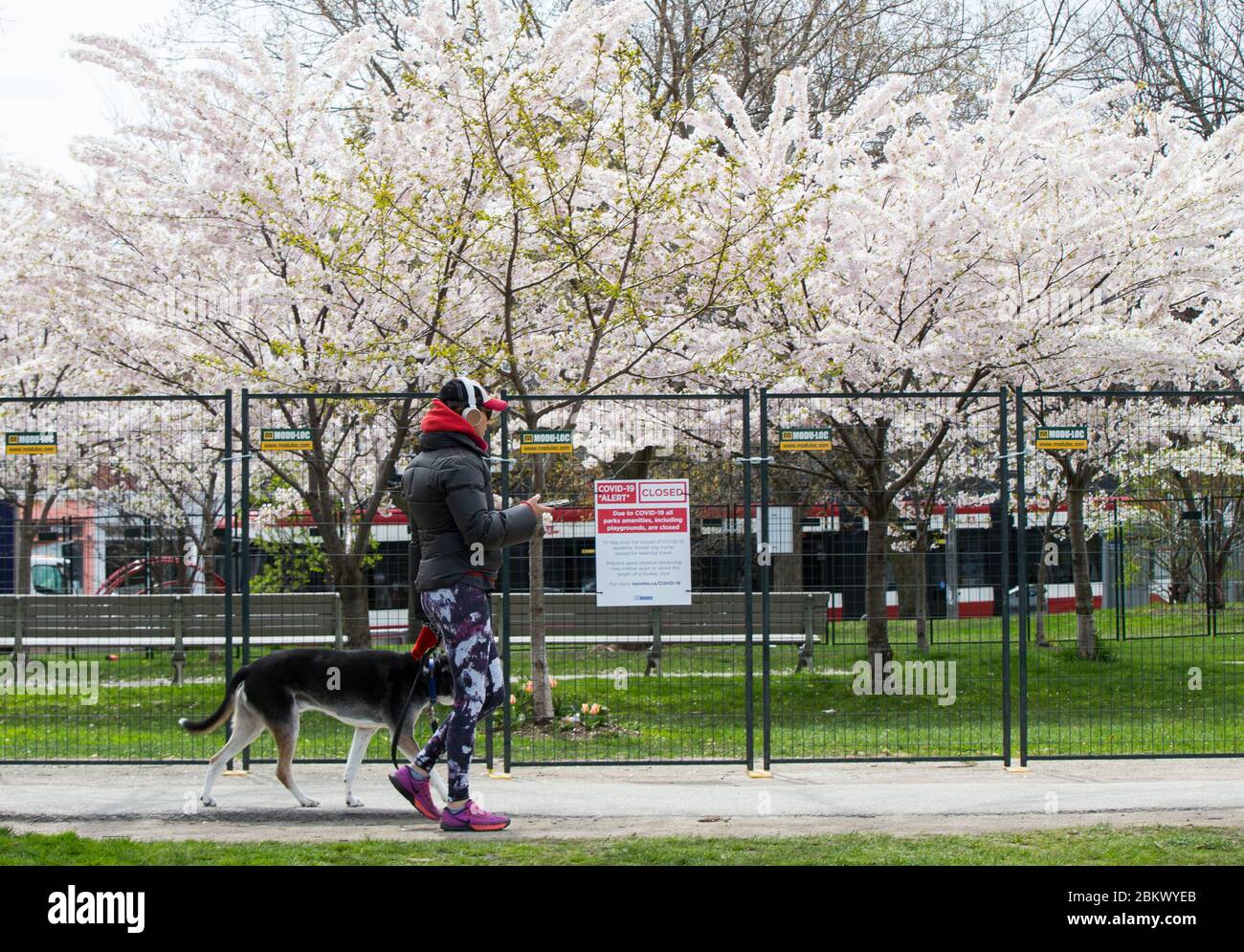 Bellwoods park hi-res stock photography and images - Alamy