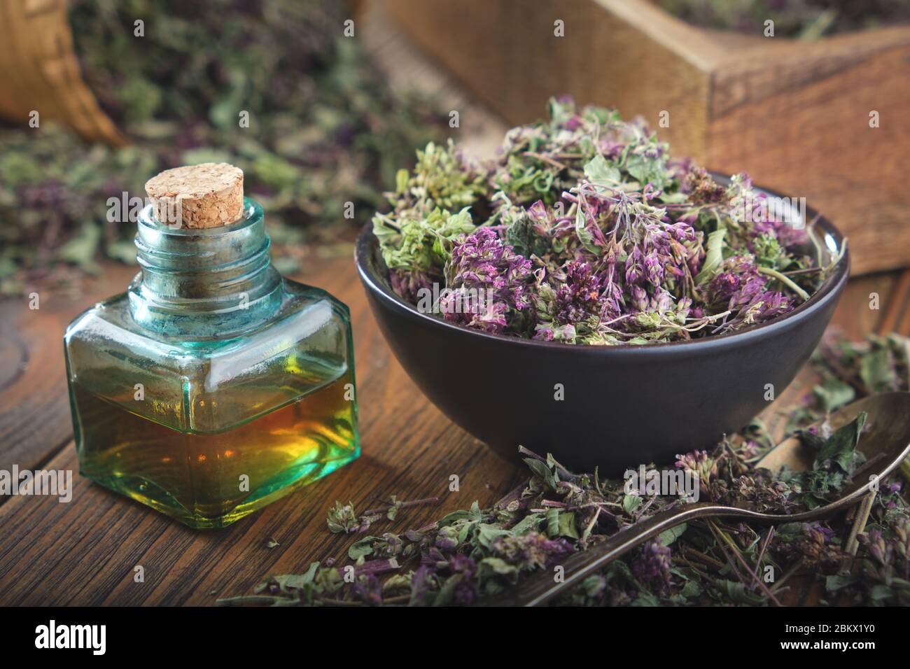 Bowl of dry Origanum vulgare or wild marjoram flowers. Bottle of essential oil or infusion. Stock Photo
