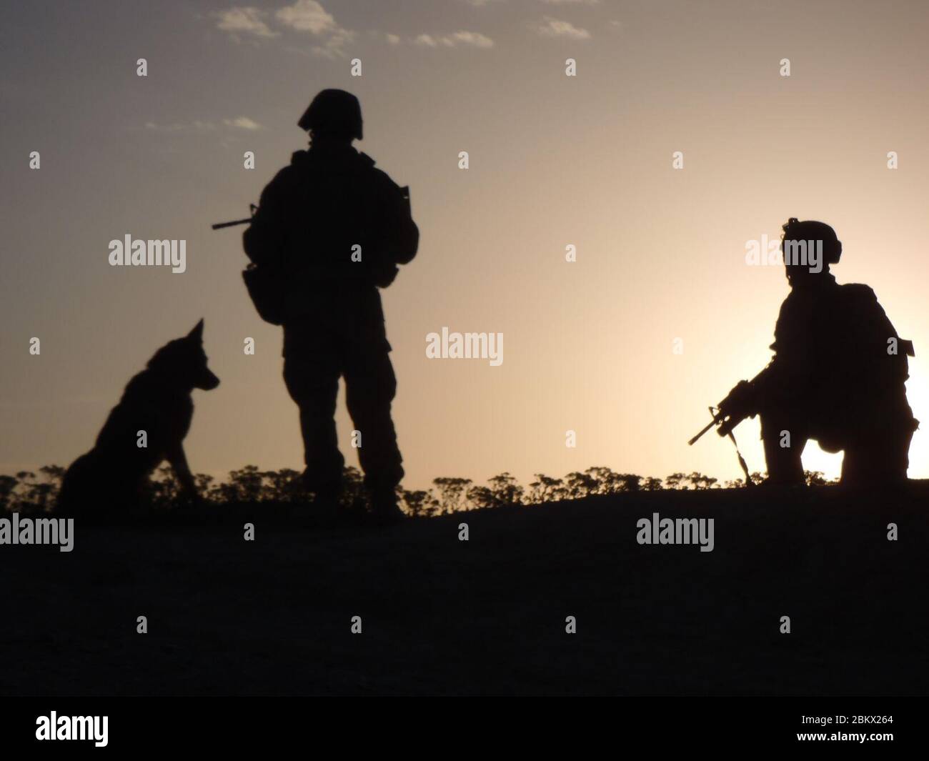 II MHG Military Working Dog Platoon completes Afghanistan tour Stock Photo