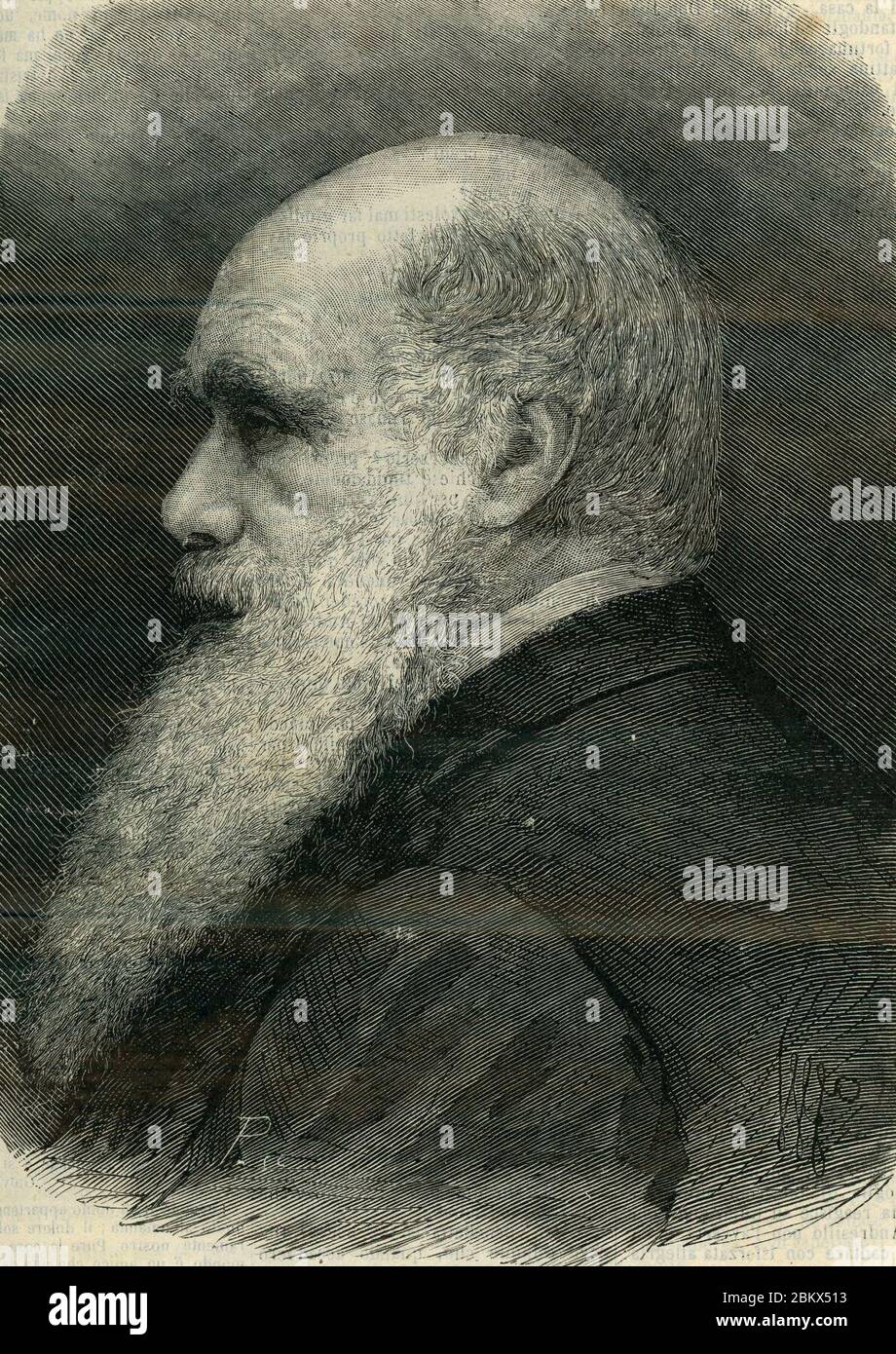 Il naturalista Carlo Darwin. Stock Photo