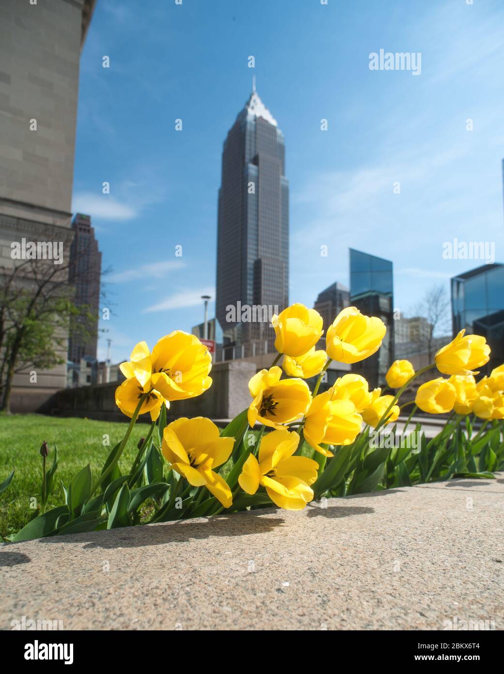 Cleveland Ohio Skyline Stock Photo Alamy Cleveland Ohio Skyline 2BKX6T4