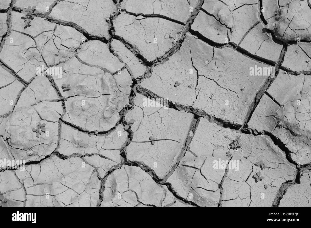 Cracking ground Black and White Stock Photos & Images - Alamy