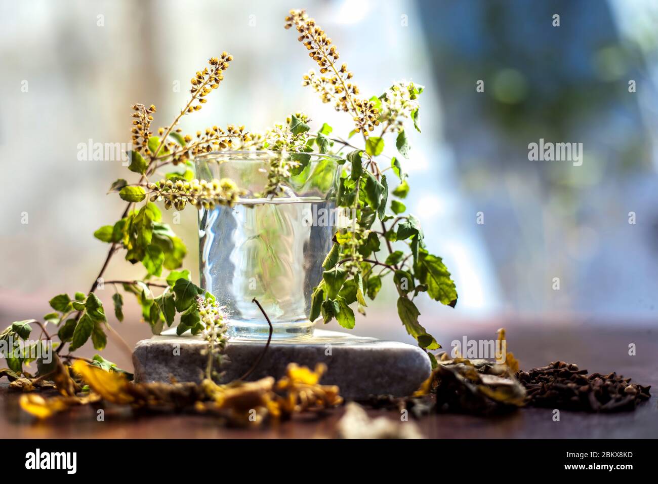 Best face mask to achieve clear pimplefree skin from home. DIY Holy
