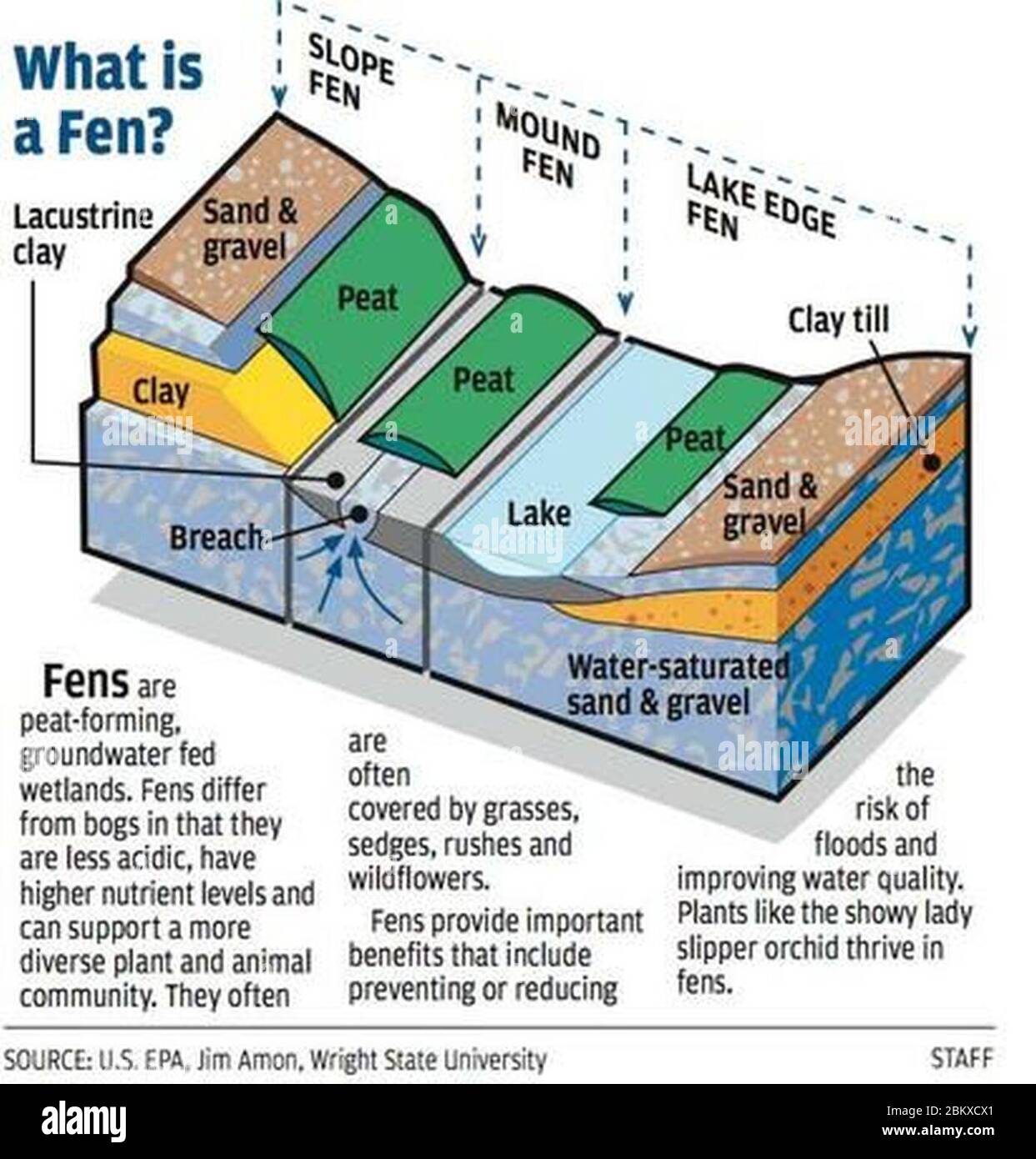 Illustrated diagram of a fen Stock Photo - Alamy
