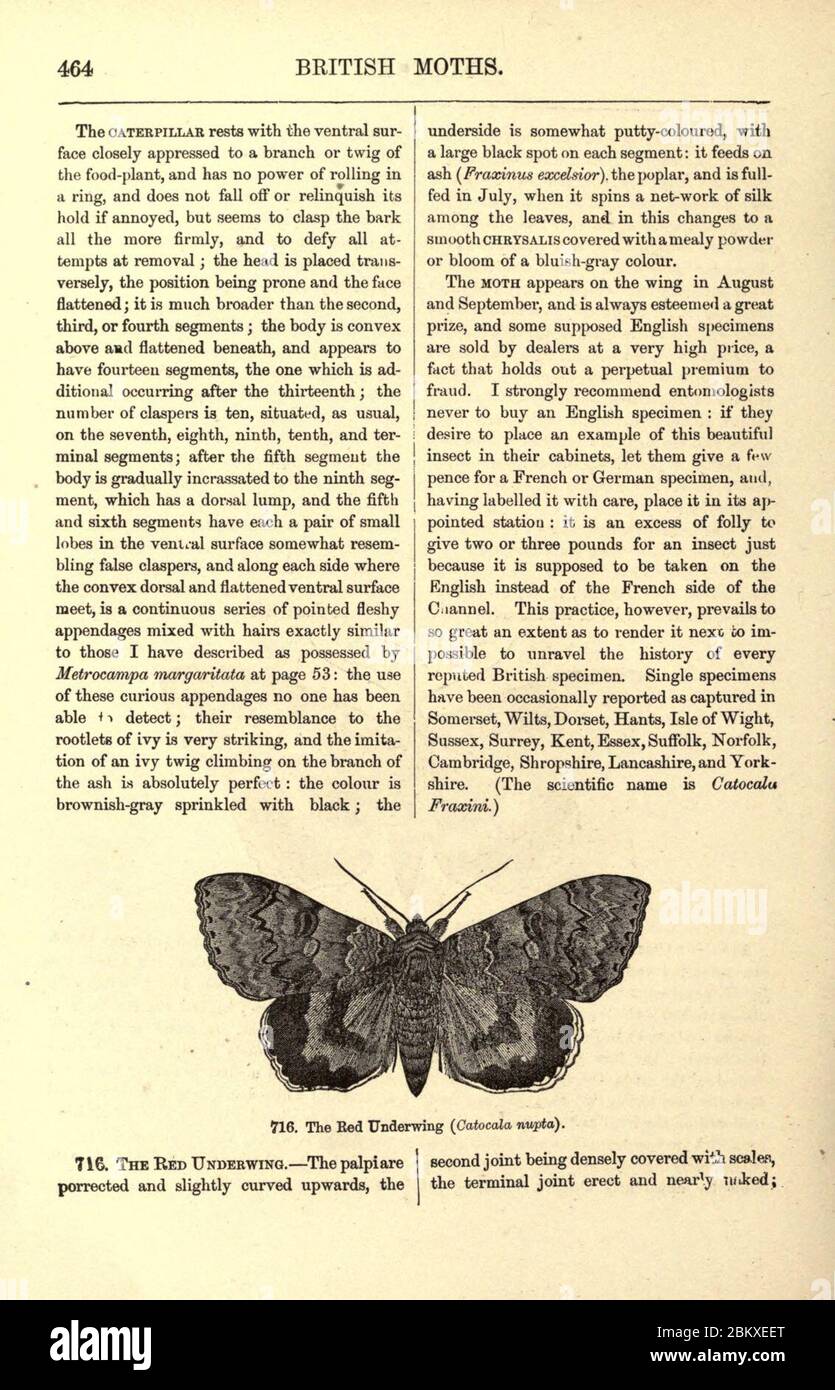 Page464