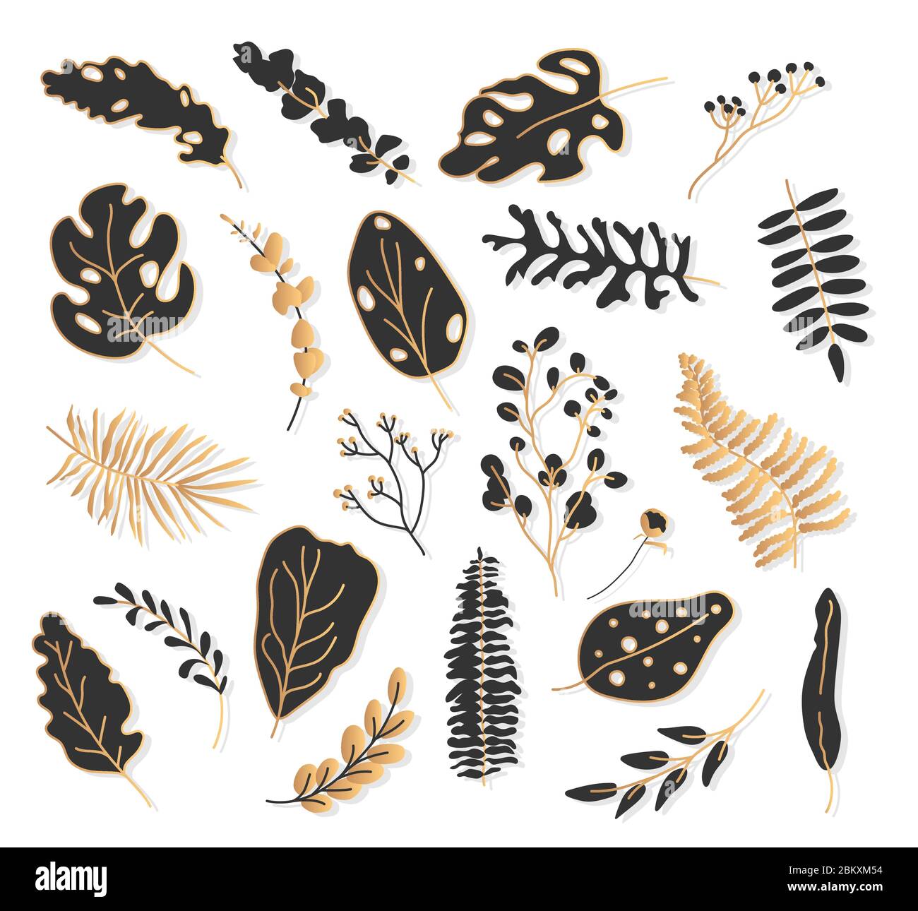 Gold black tropical leaf botanical set. Hand drawn abstract exotic ...