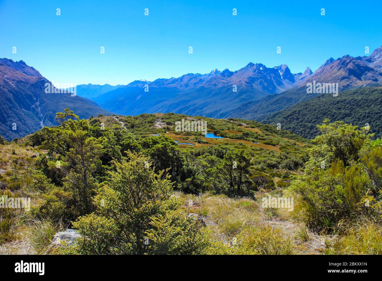 Stunning view of Hollyford Valley from the Key Summit Track section of Routeburn Track, one of the Great Tracks on New Zealand's South Island. Stock Photo