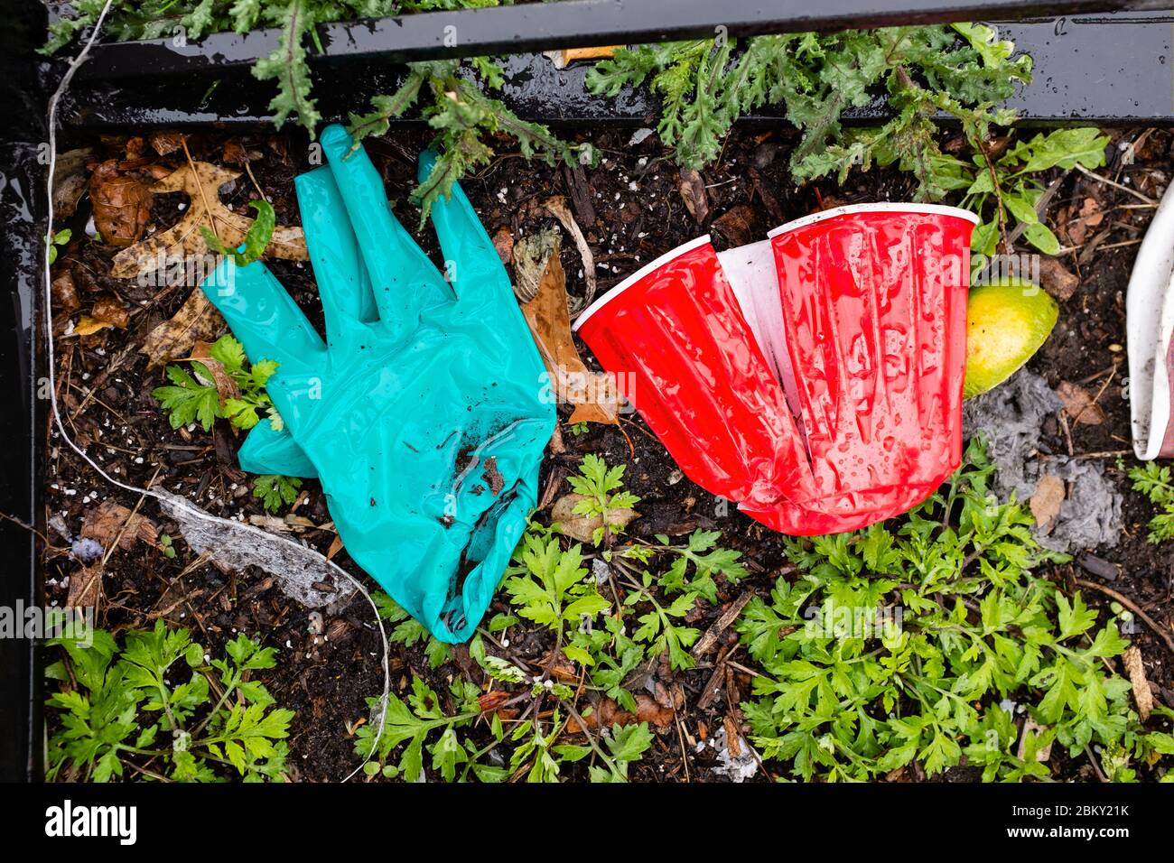 Brooklyn, NY - 23 March 2020. Discarded surgical gloves are a familiar sight in the streets and on the sidewalks. Stock Photo