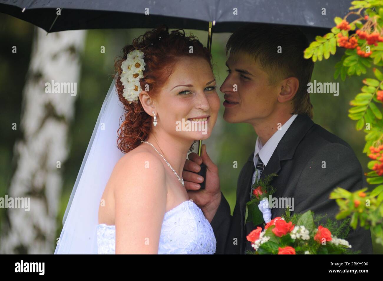 Bridegroom and bride, kissing in rain Stock Photo Alamy