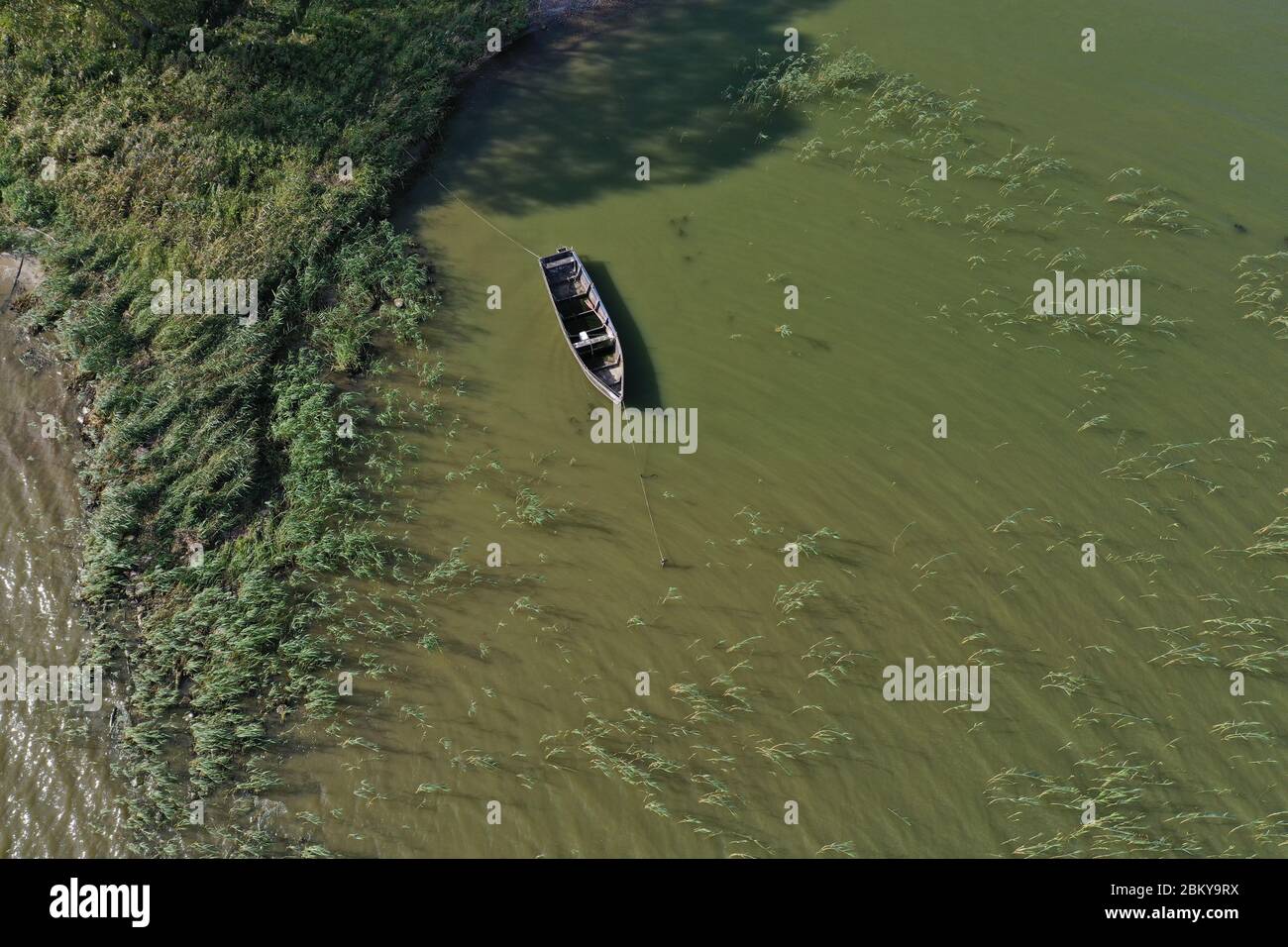 Old wooden lonely fishing boat on sea water near reeds, aerial view Stock Photo