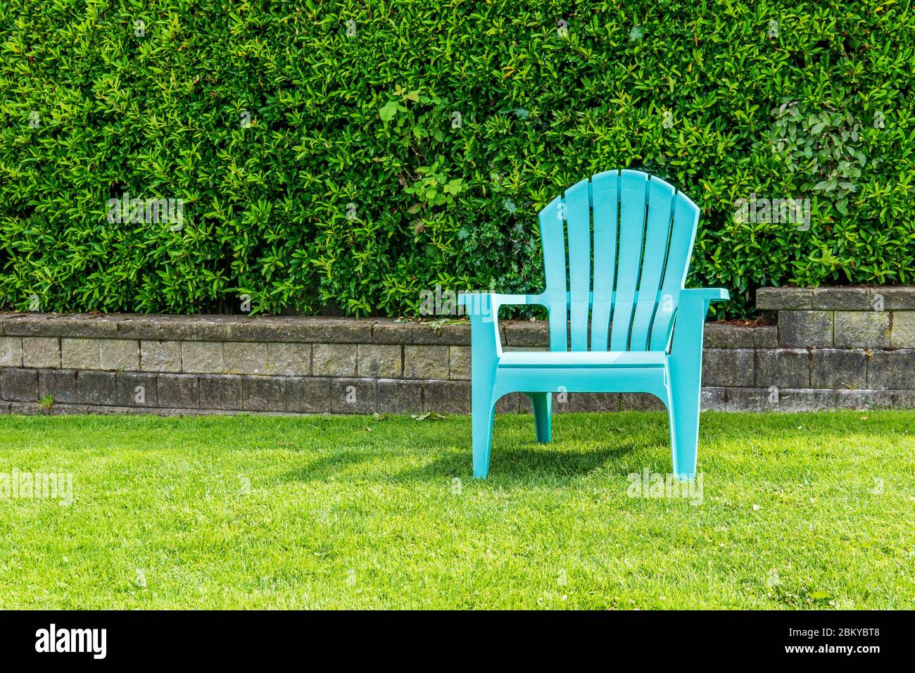 chair in a garden on a green lawn with bushes on the background Stock Photo  - Alamy