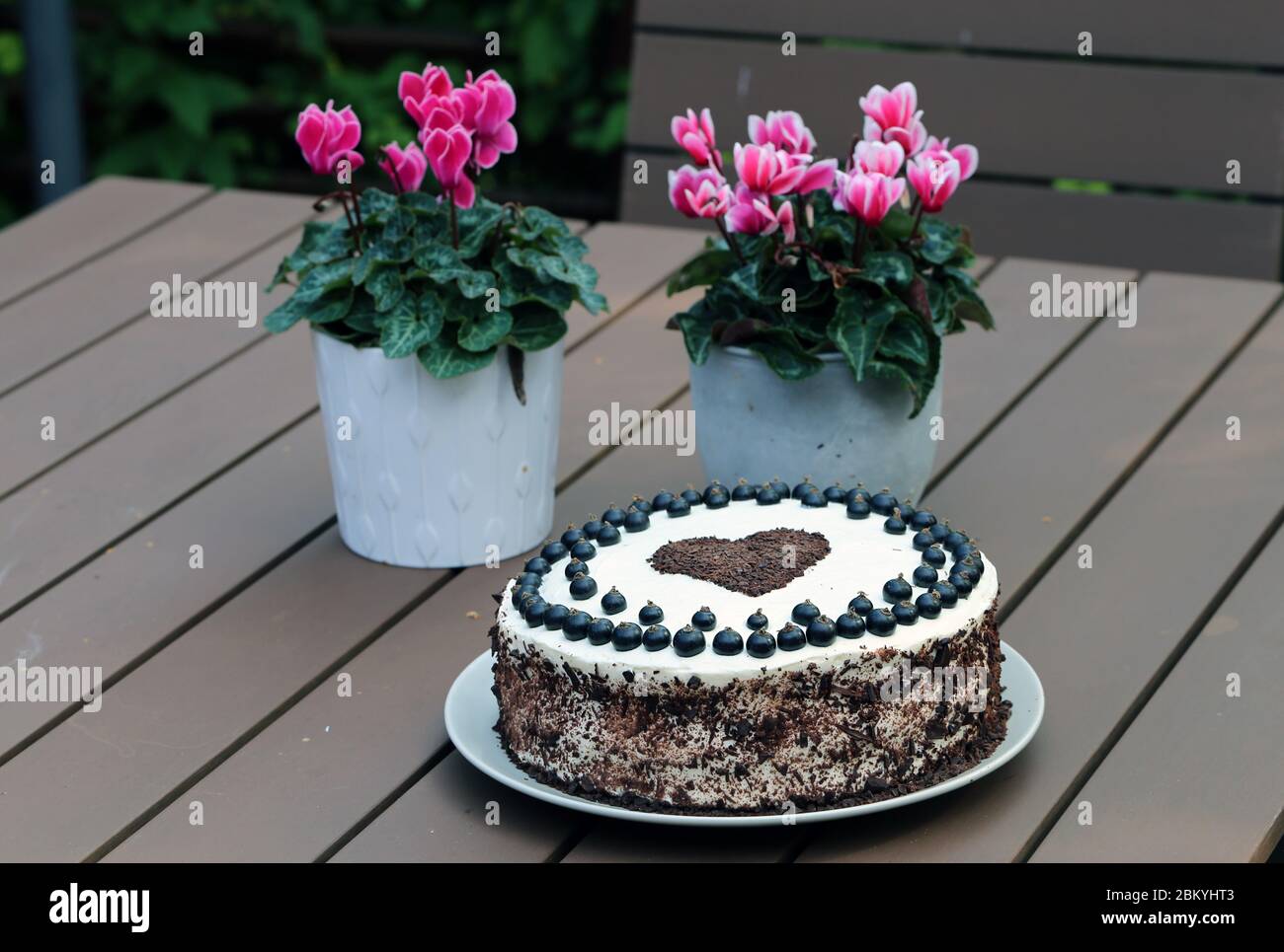 black currant fresh cream cake model | Cake models, Cream cake, Currant cake