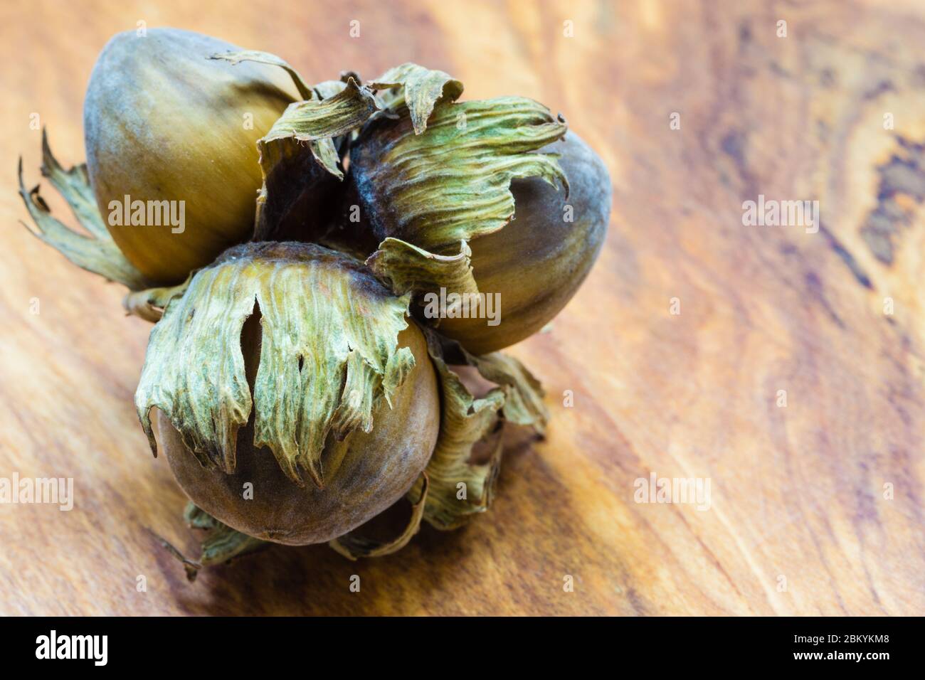 Healthy food full of fatty acids, organic nutrition. Hazelnuts cluster ...