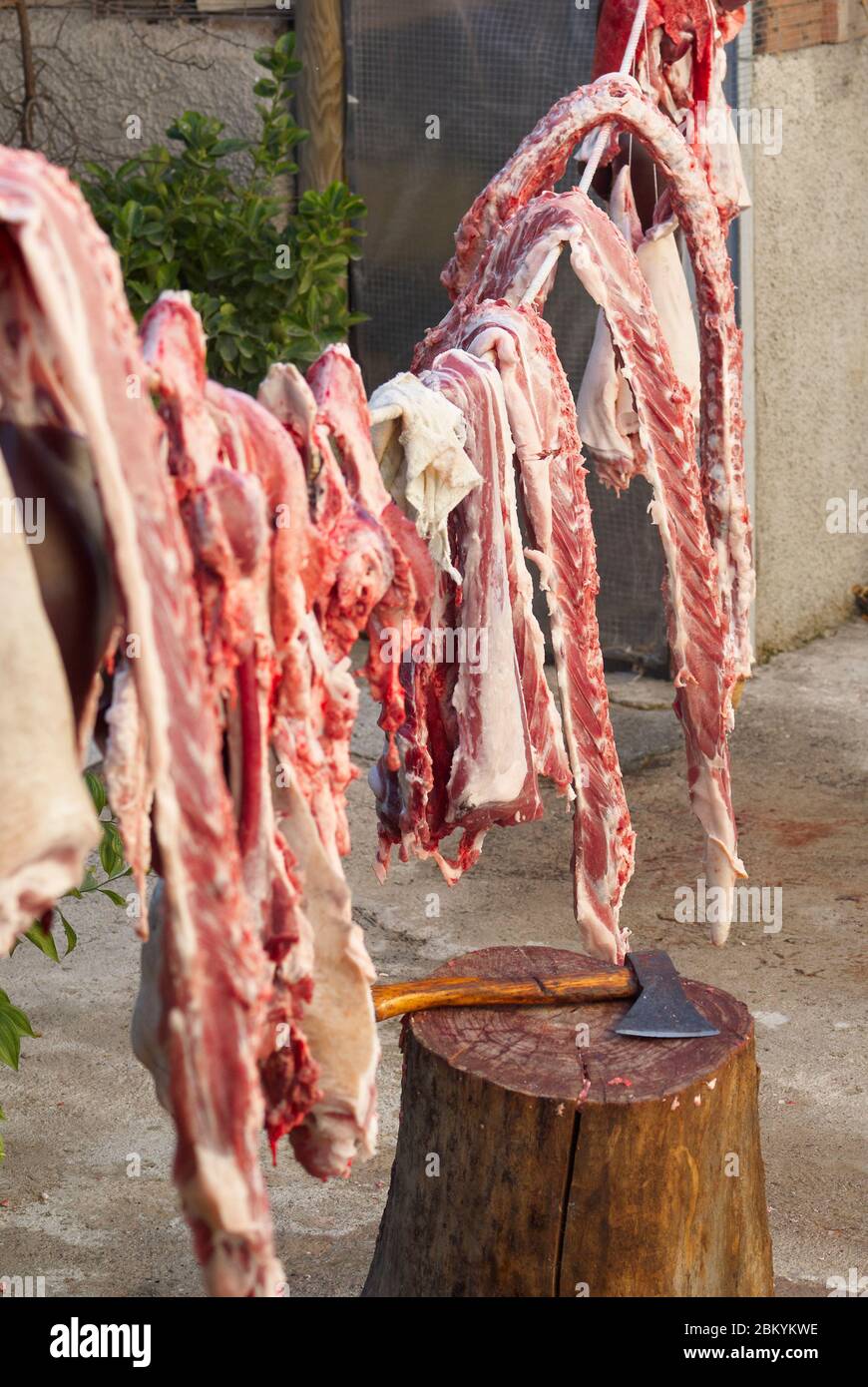 cutting of meat hung during the slaughter in Malaga. Spain Stock Photo