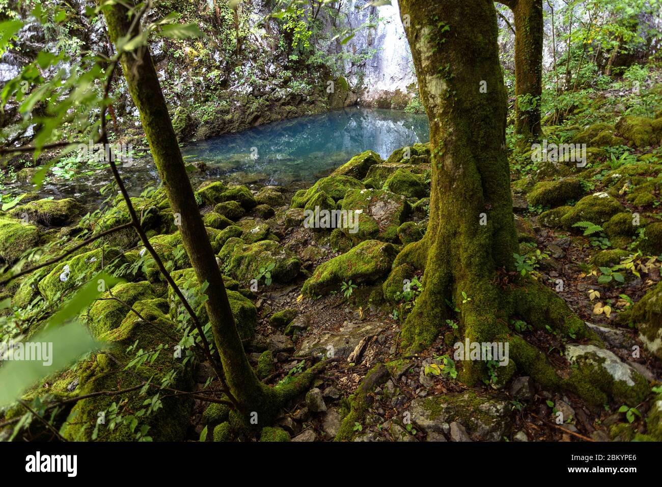 Natural source Bilpa near the river Kolpa, Slovenia Stock Photo