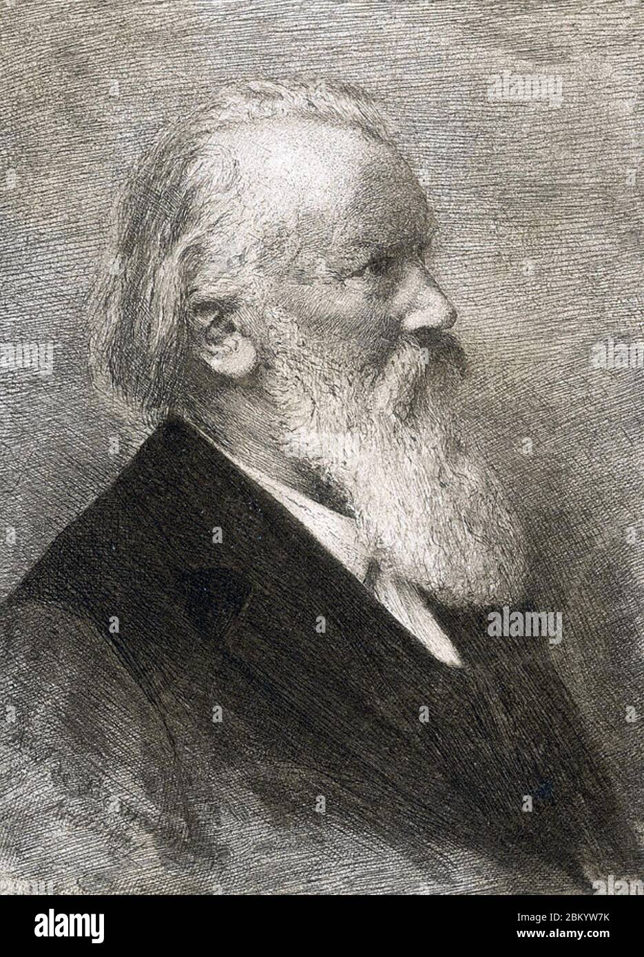 JOHANNES BRAHMS (1833-1897) German Romantic composer, about 1890. Stock Photo