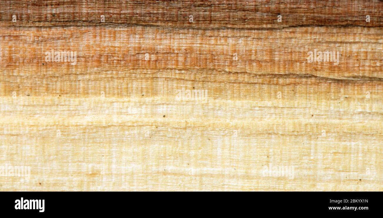 Old wood background Stock Photo