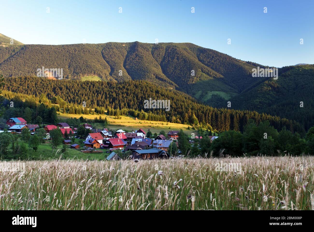 Village landscape with meadow and forest Stock Photo