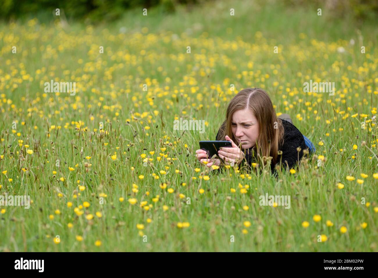 Young Women taking pictures with a mobile phone in a wildflower field in springtime. Stock Photo